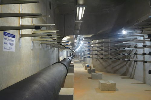 喜訊 公司四項目榮膺中國交建優質工程獎，彰顯市政建設卓越實力